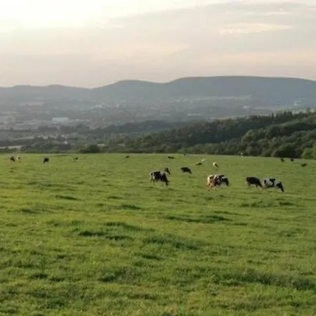 Mia Im Zwischen Teutoburger Wald Und Weserbergland, *